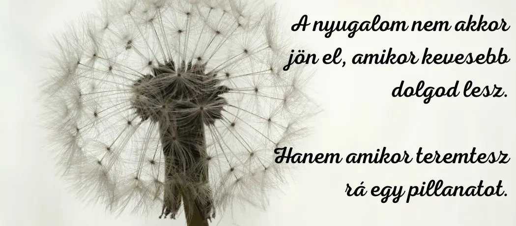 nyugalom.webp